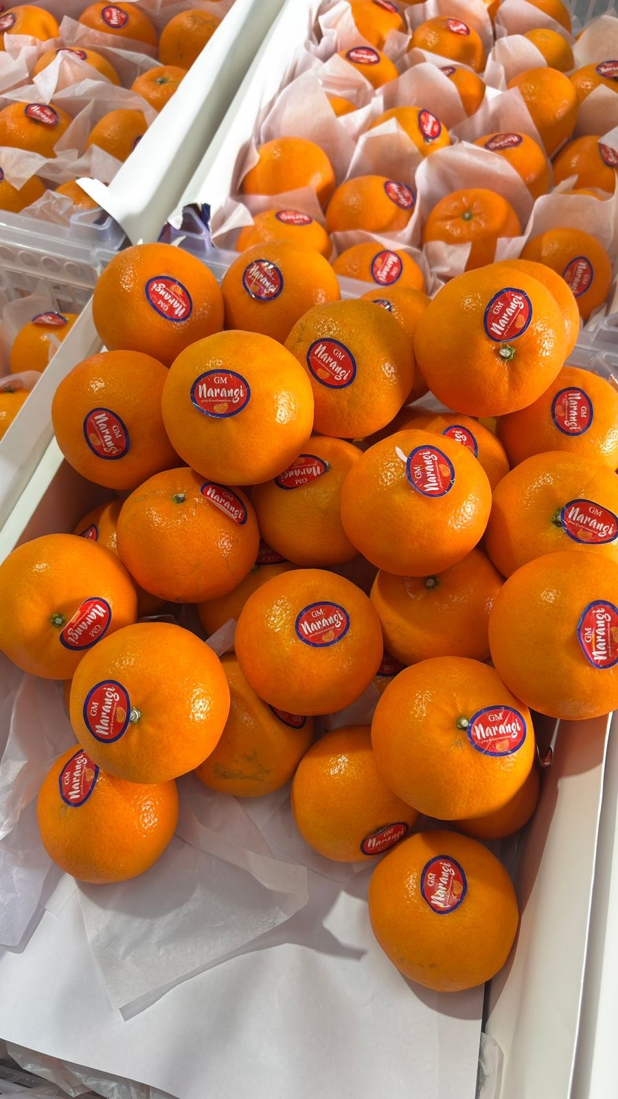 Fresh and vibrant Mini Orange snack in a clear pack, showcasing the product's appealing color and texture, available at MOTWA