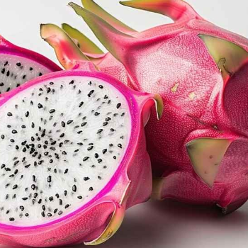 HALARI FRUIT CENTRE - Fresh Dragon Fruit Sweet - Premium Quality in Rajkot