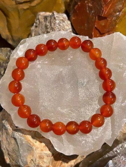 Carnelian Bead Bracelets in Surat HEALING GEMS 7TH FLOOR B 710  RJD BUSINESS HUB  KASHA NAGAR ROAD SURAT SURAT GUJARAT 395004 395004