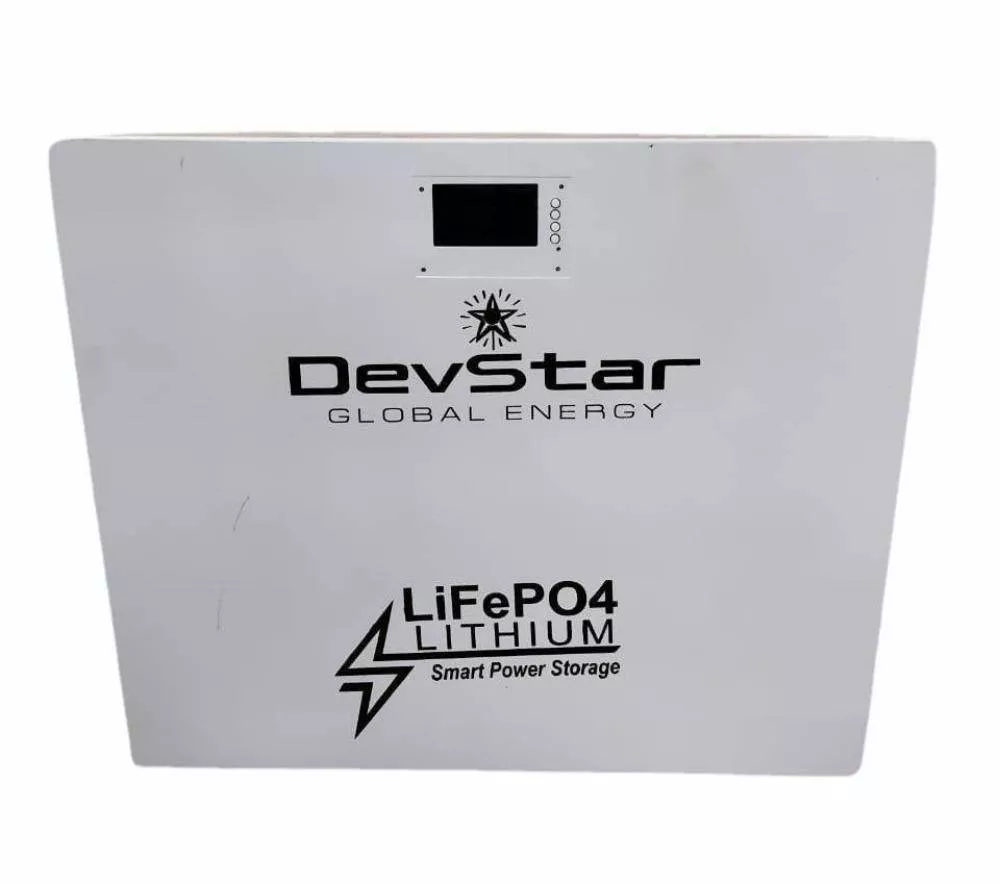 DevStar LiFePO4 Lithium Battery