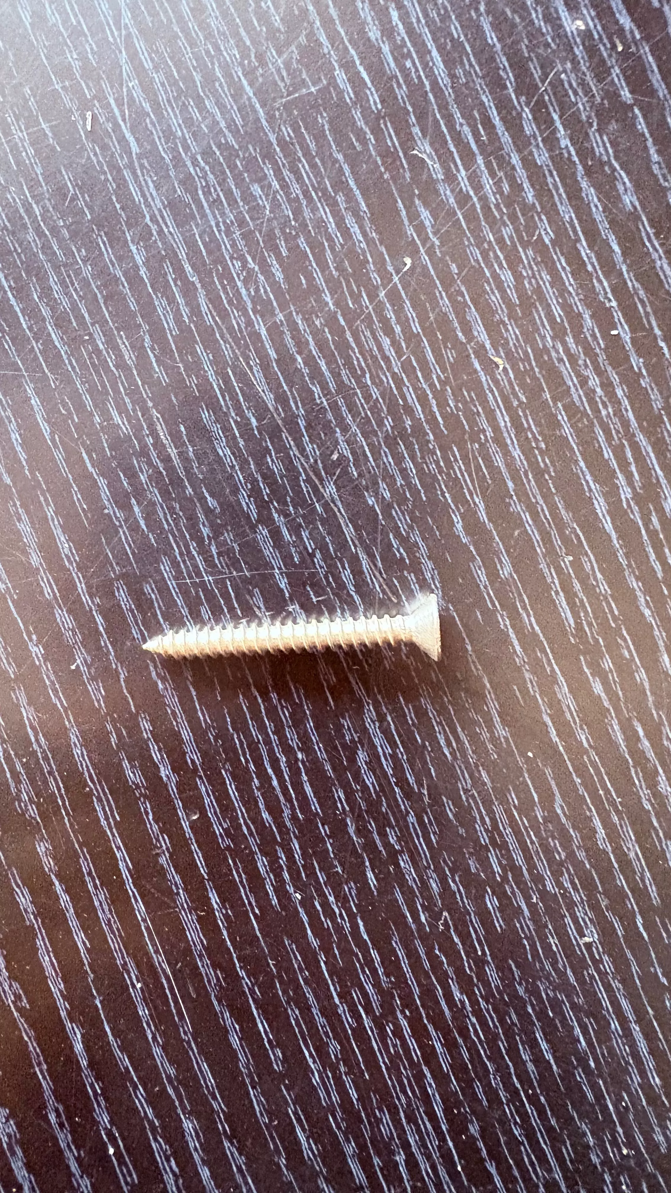 Durable stainless steel wood screw designed for secure fastening, located in Imphal — ideal for woodworking projects