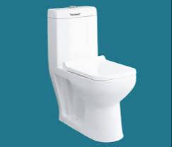 EcoFlush Dual Flush One-Piece Toilet