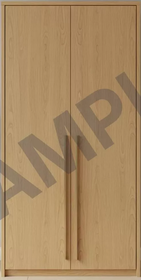 SHREE SHYAM ENTERPRISES - Oakwood 2-Door Wardrobe in BANUR in BANUR