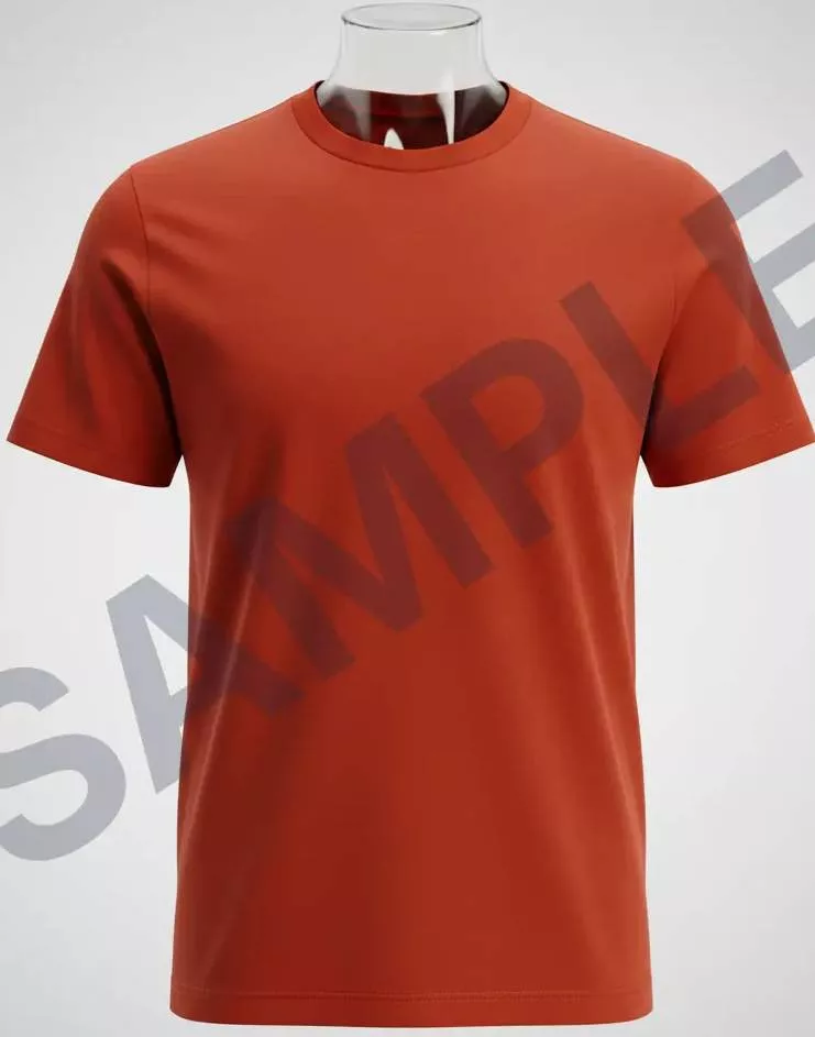 DIVINE INDIA SALES - T-Shirt Classic Rust Red in Panchkula in PANCHKULA