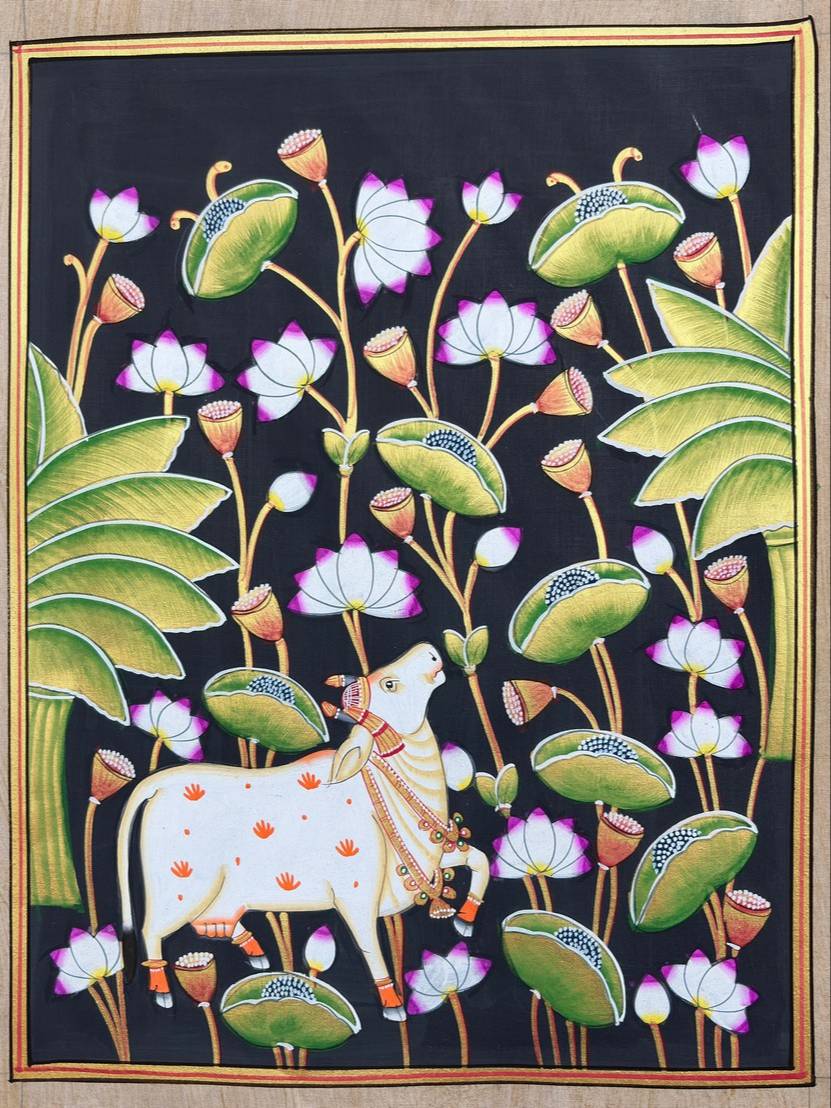 CHITRABHOOMI - Kamdhenu in Kamal Talai Jaipur in Jaipur