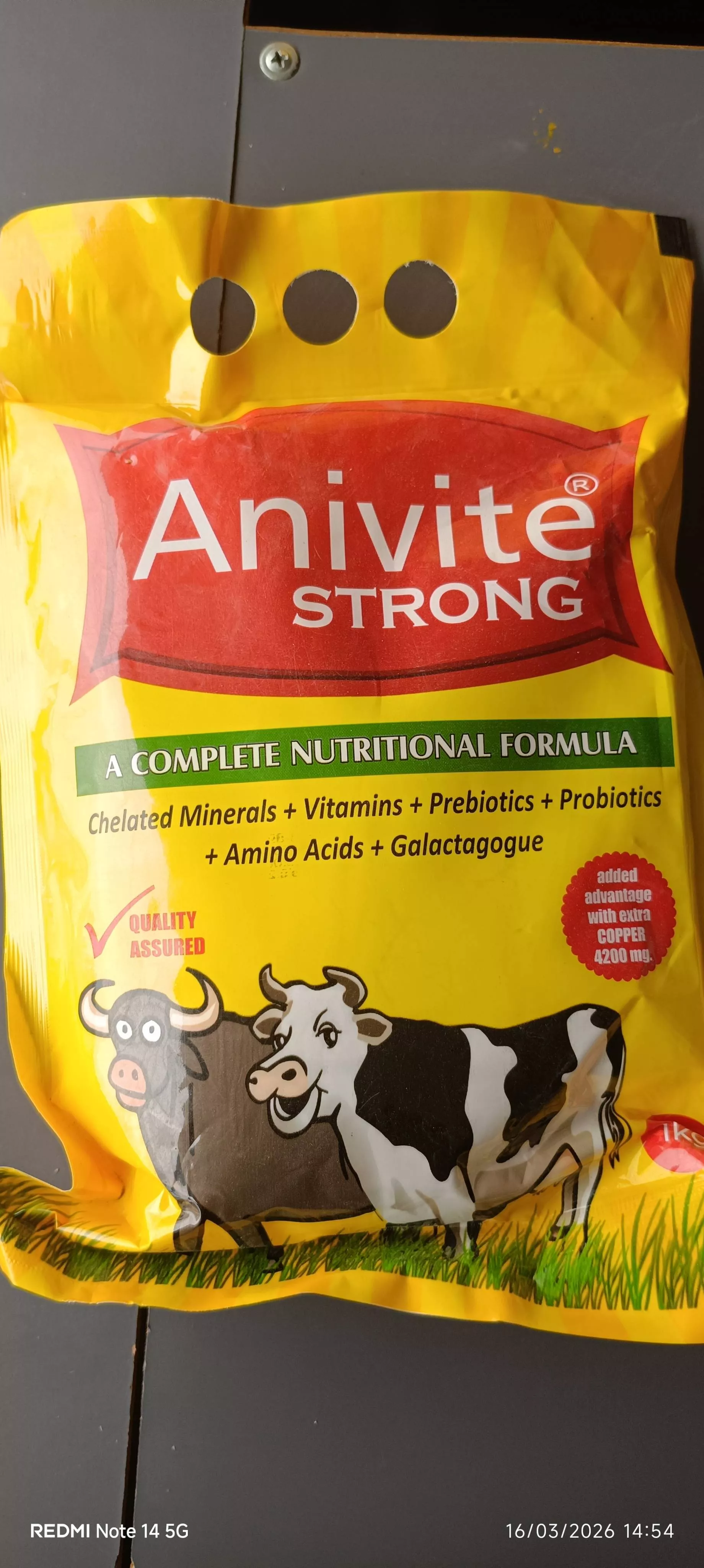 SANASAM SOBHA SINGH - Anivite Strong Livestock Health Supplement Thoubal in Thoubal