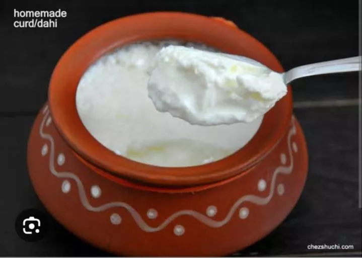 Creamy Anmol Dairy Dhai in a bowl, showcasing its rich texture and probiotic benefits, available in JAGADHARI.