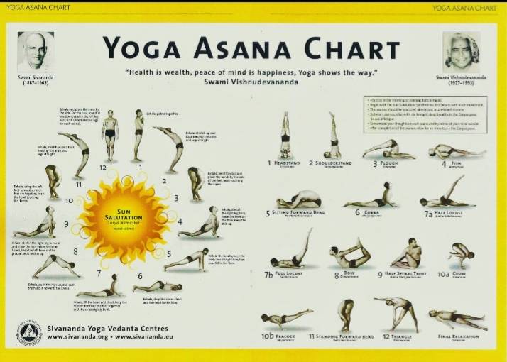 Sivananda Yoga session setup in Moradabad featuring mats arranged for group practice, highlighting the Complete Yoga Asana Ch