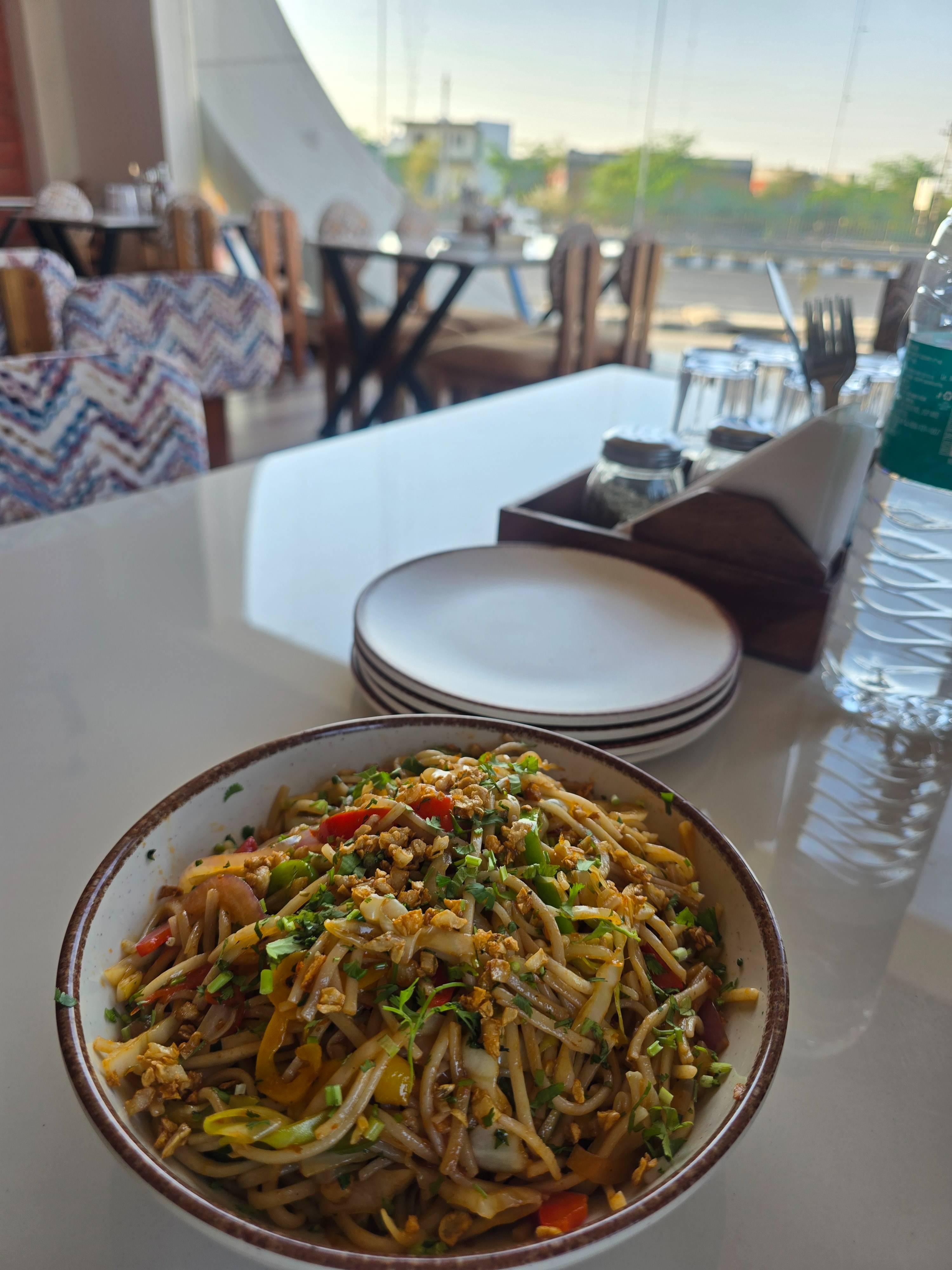 Delicious Vegetable Hakka Noodles with fresh vegetables and spices served in a bowl at THE FORTRESS CAFE in DUDU.