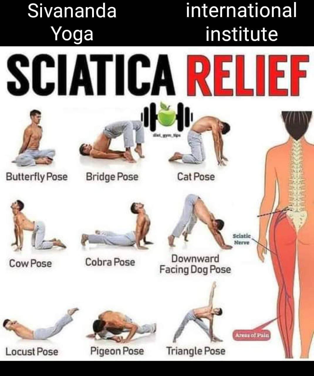 Yoga Pose Sciatica Relief in Civil Line Key Exercise poster featuring illustrated yoga poses for sciatica pain relief, availa - Image 1