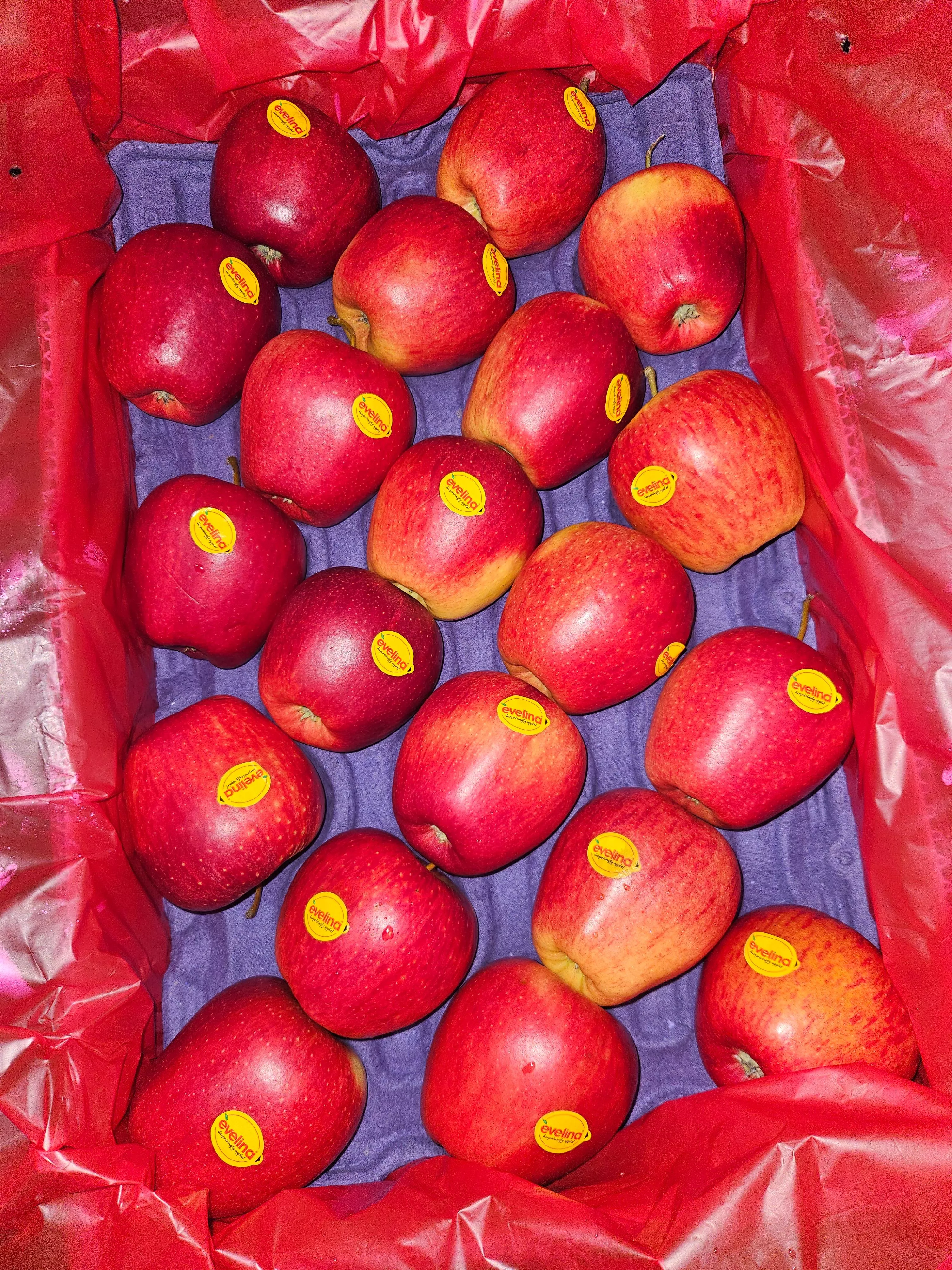  Evelina Red Apples in Jhajjar - Juicy and Sweet SHARMA FRUIT HOUSE 