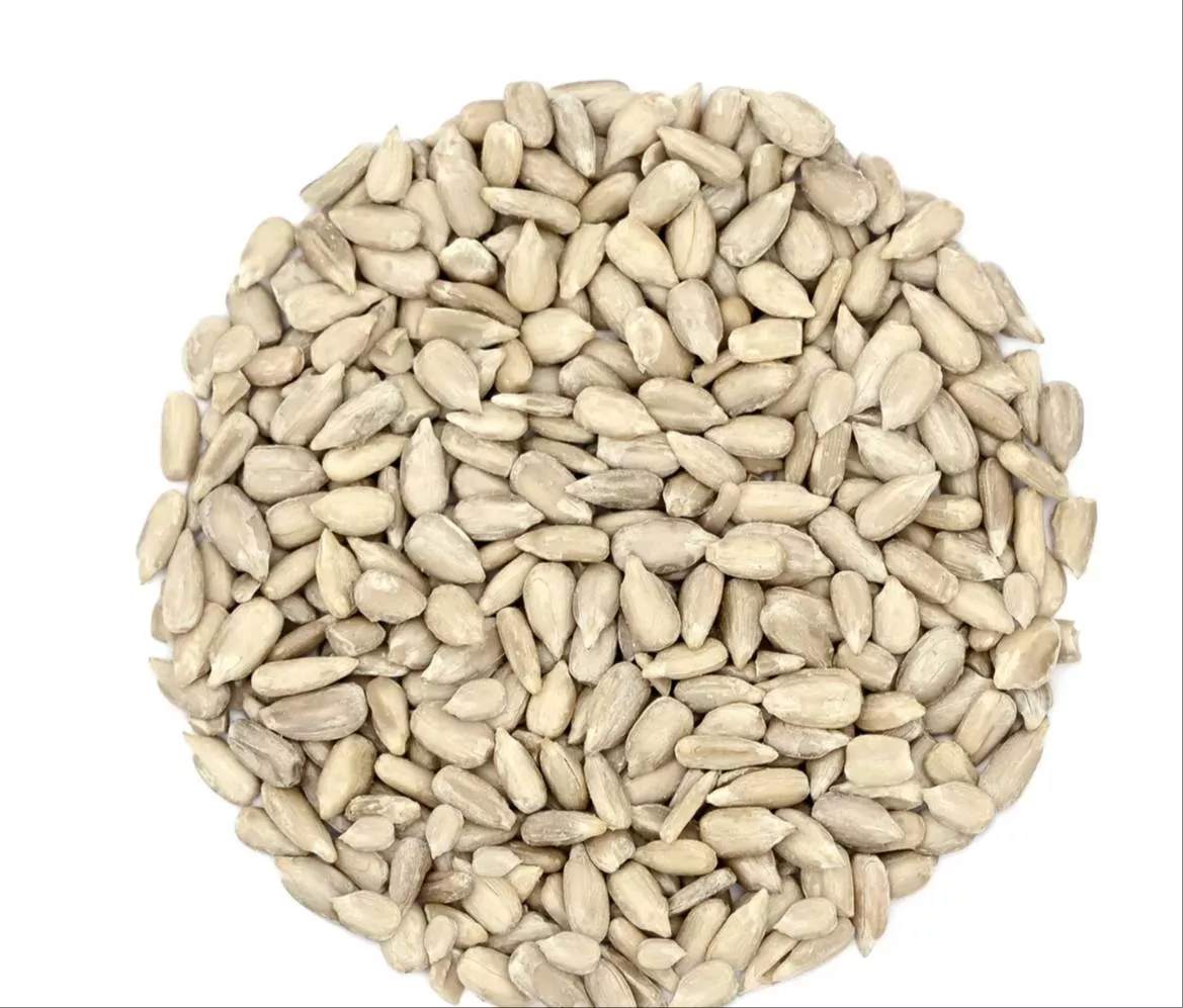 Premium seeds for healthy plants from MAHAVEER BEEJ BHANDAR in Gorakhpur — ideal for local gardening needs.