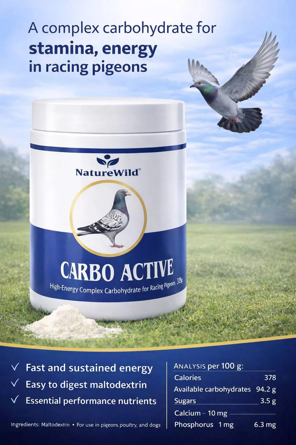 DIPU ENTERPRISE - Racing Pigeons Carbo Active in Kolkata in KOLKATA