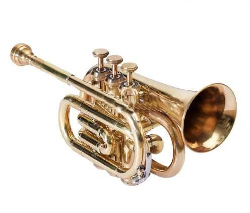 Compact Brass Pocket Trumpet designed for musicians, featuring a shiny brass finish, valves, and mouthpiece, seen in Meerut
