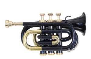 Compact Brass Pocket Trumpet designed for musicians, featuring a shiny brass finish, valves, and mouthpiece, seen in Meerut - Image 1