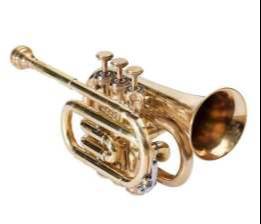 Compact Brass Pocket Trumpet designed for musicians, featuring a shiny brass finish, valves, and mouthpiece, seen in Meerut - Image 2