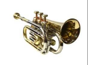 Compact Brass Pocket Trumpet designed for musicians, featuring a shiny brass finish, valves, and mouthpiece, seen in Meerut - Image 3