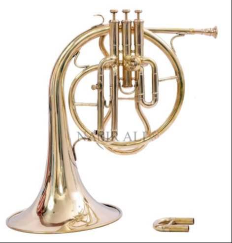 FRANCH HORN BRASS showcasing polished brass finish with intricate design, available at MELODY MAKERS INDIA in Meerut