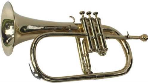 Stylish FLUGEL HORN BRASS in Black Blue showcasing its elegant design and durable body, perfect for musicians in Meerut.