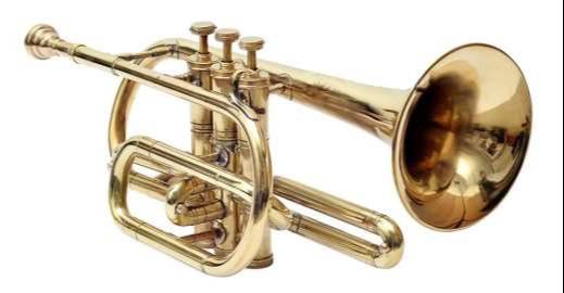 High-performance CORNET 3 VALUE equipment in Meerut — versatile and reliable for various applications.