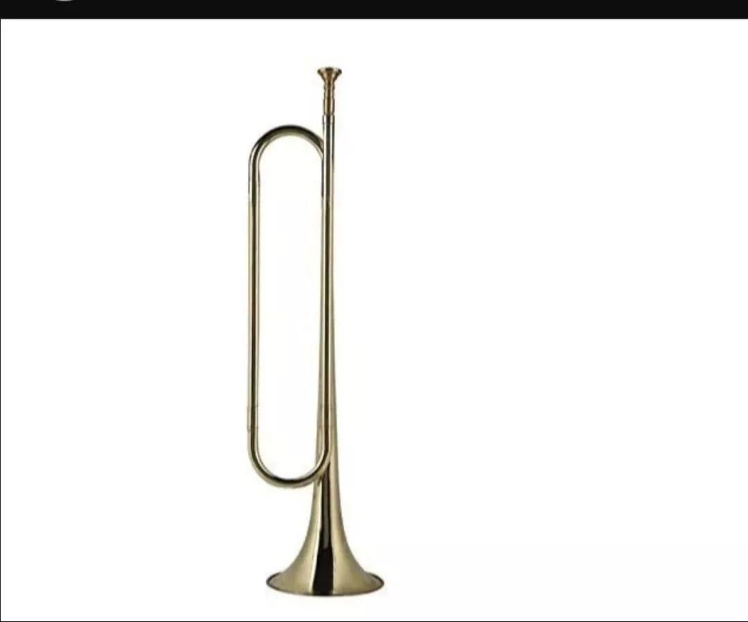 TROMBONE Valve in Meerut — sleek design, metallic finish, and functional features for quality sound production