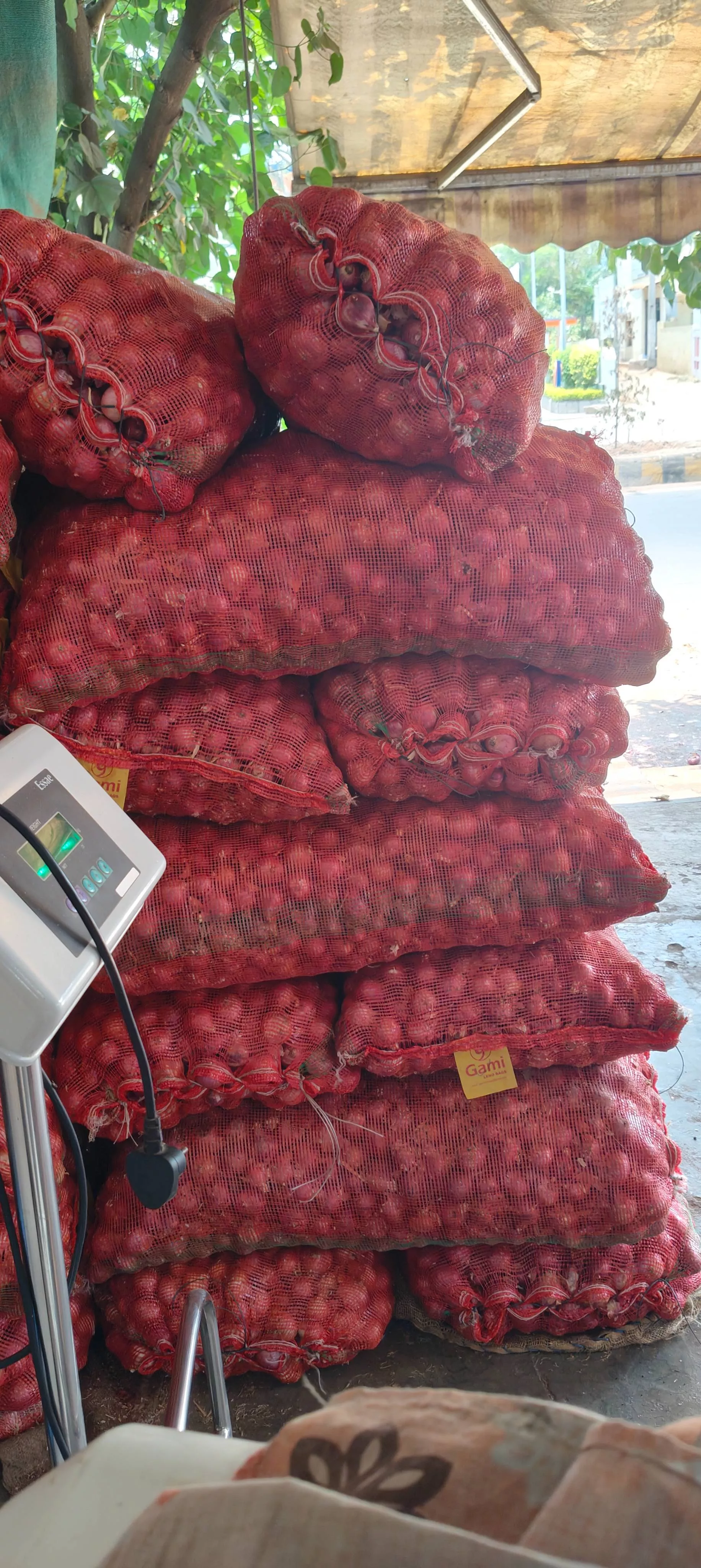 Fresh red onions in bulk sacks available at AL MEHARAJ ONIONS, Penamaluru, showcasing quality produce for cooking needs.