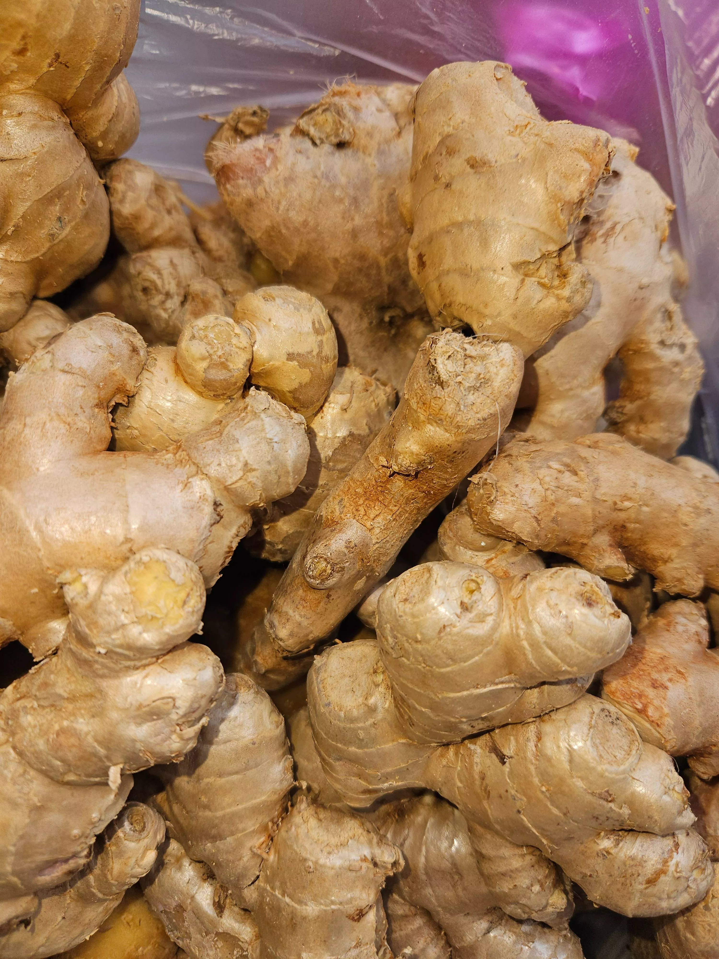  Fresh Ginger Root in Jhajjar - Aromatic Flavor Booster SHARMA FRUIT HOUSE 