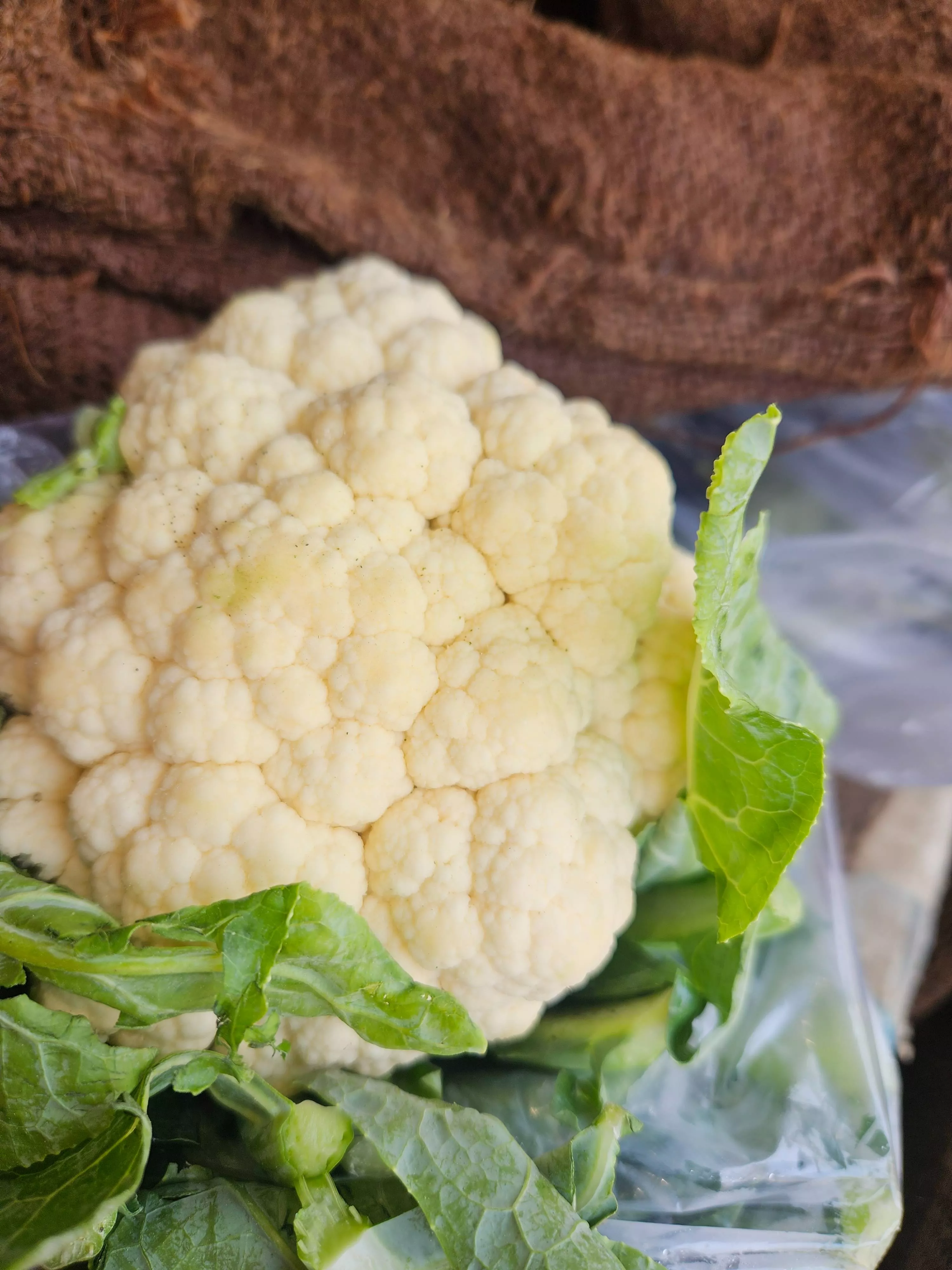  Fresh Cauliflower in Jhajjar - Ideal for Healthy Meals SHARMA FRUIT HOUSE 