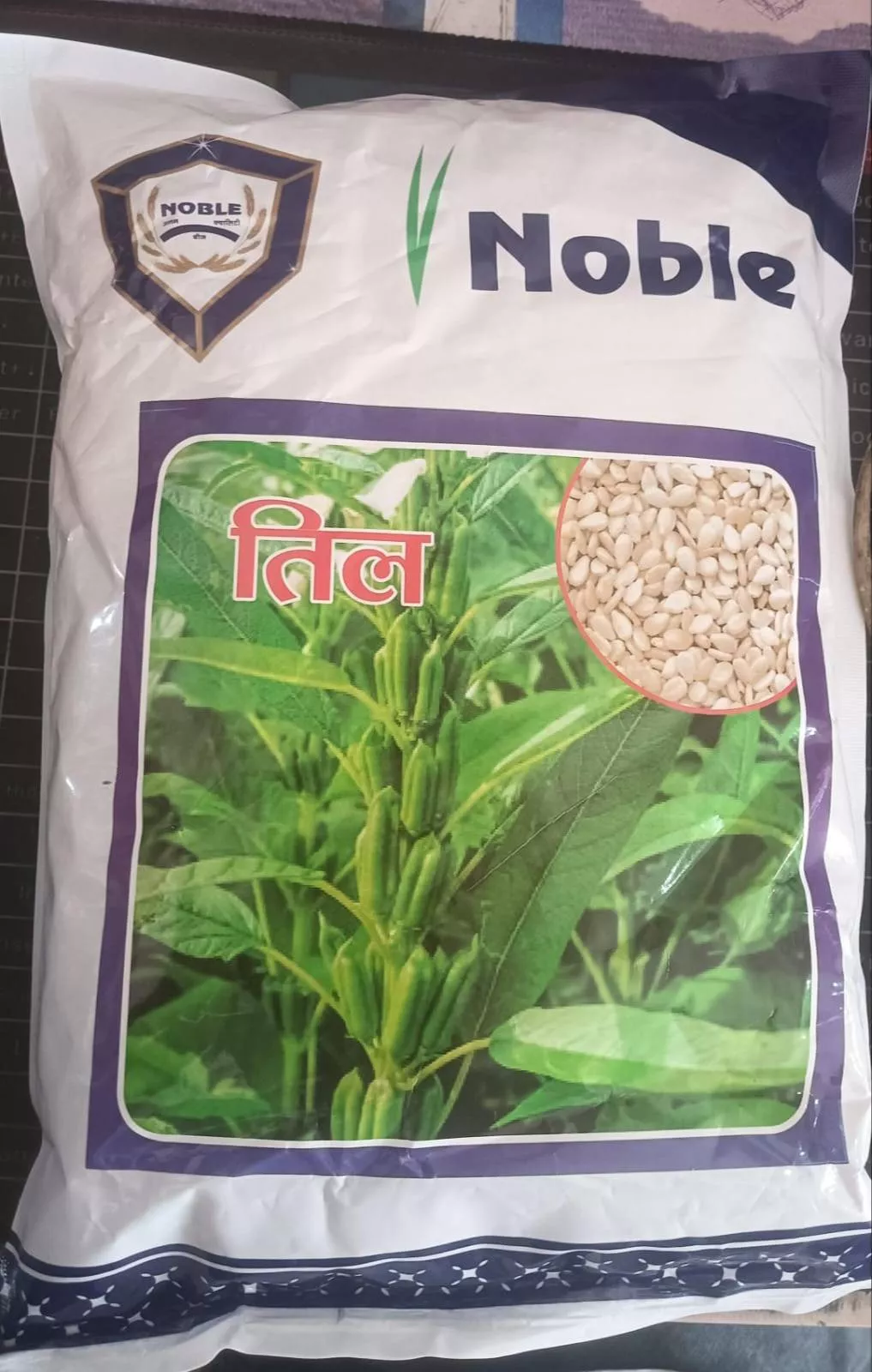 Premium quality Til seeds from ANMOL MISHRA KHAD BEEJ BHANDAR in KANSHIRAM NAGAR, showcasing their rich color and texture.