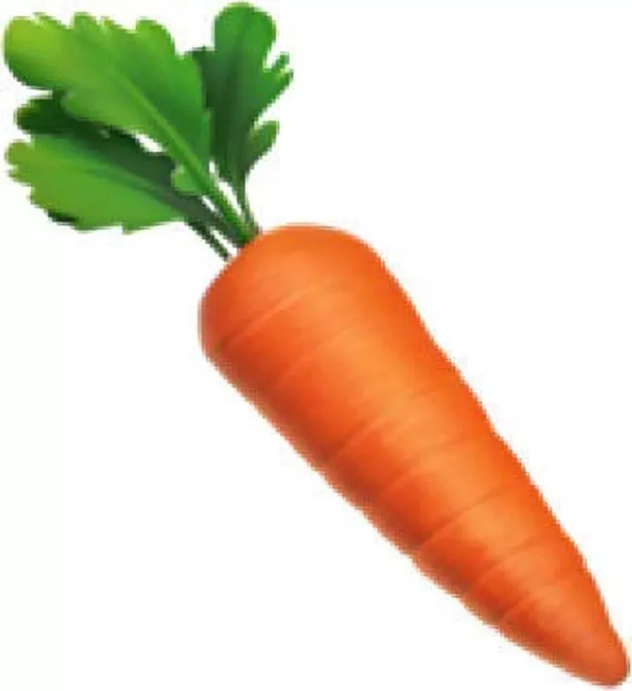 TAYAL SALES CORPORATION - Fresh Carrot in AMBALA CITY in AMBALA CITY