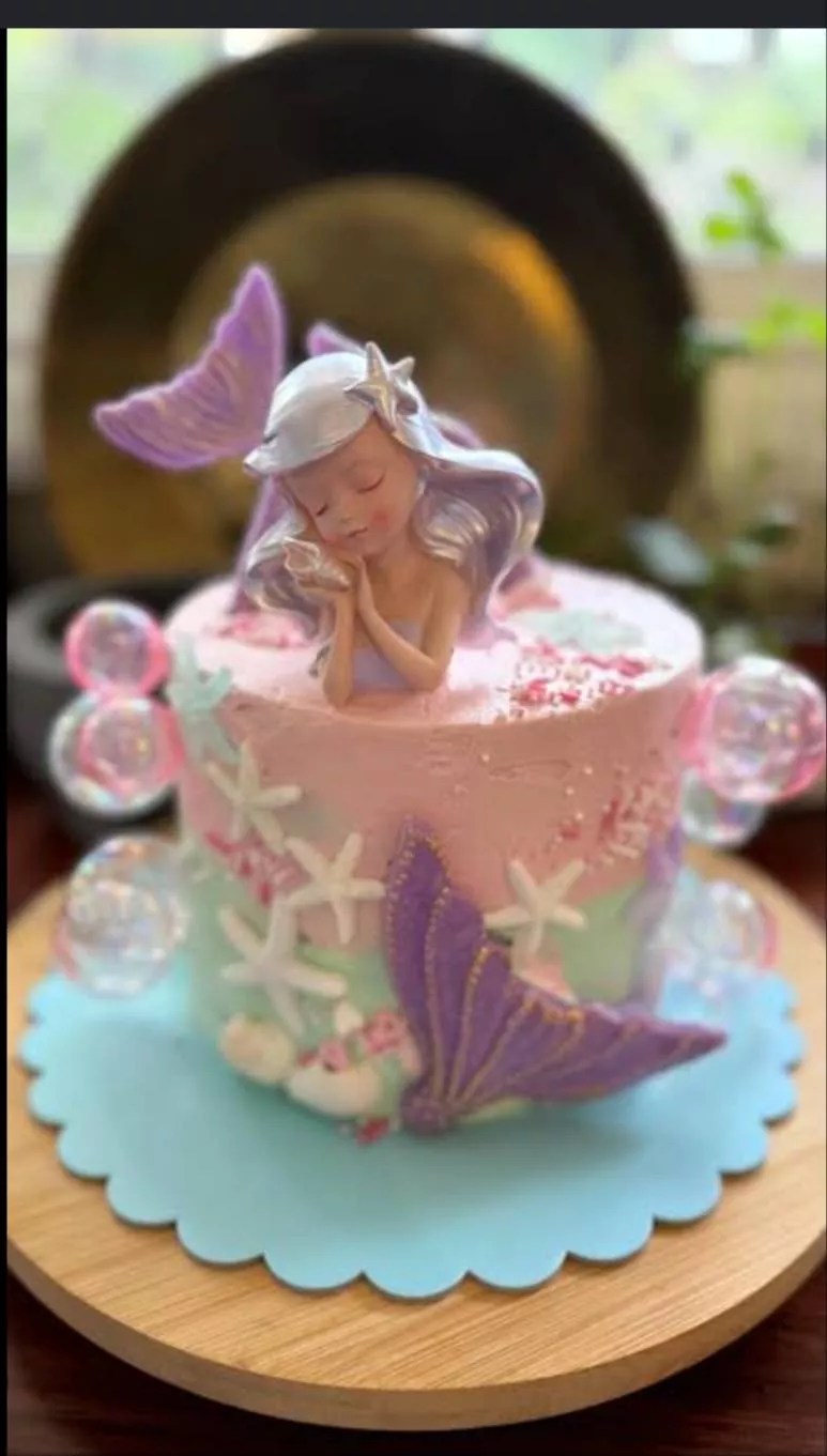 EVERGREEN AGRO - Chocolate kids cake in MIRGANJ