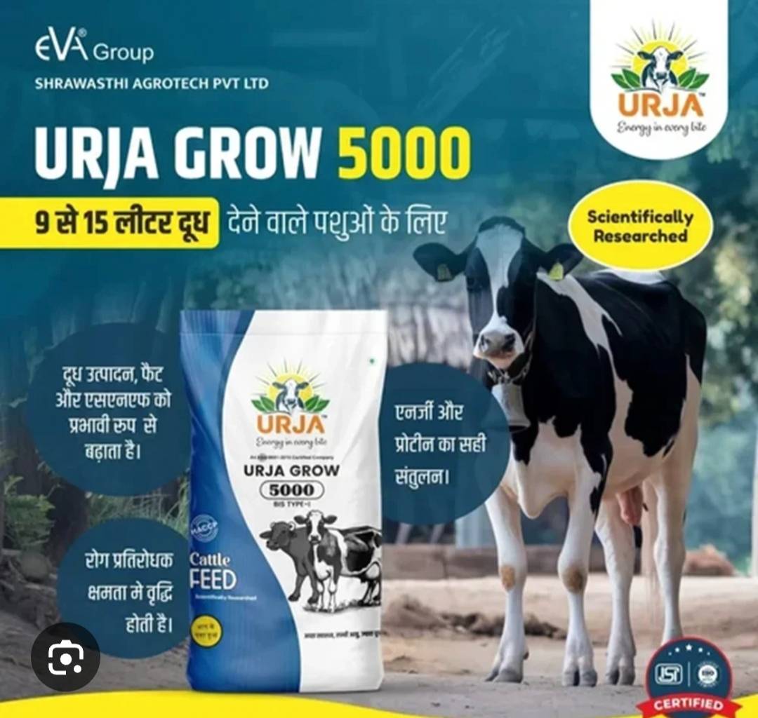 SHREE KRISHNA GROUP - Urja Grow 5000 Animals Feeds 25 Kg in Lakhimpur Kheri,Uttar Pradesh in Lakhimpur Kheri