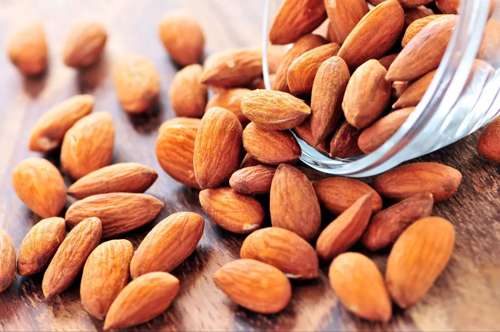 SADATH GENERAL STORE - Premium Almonds in Bengaluru | SADATH GENERAL STORE in BENGALURU