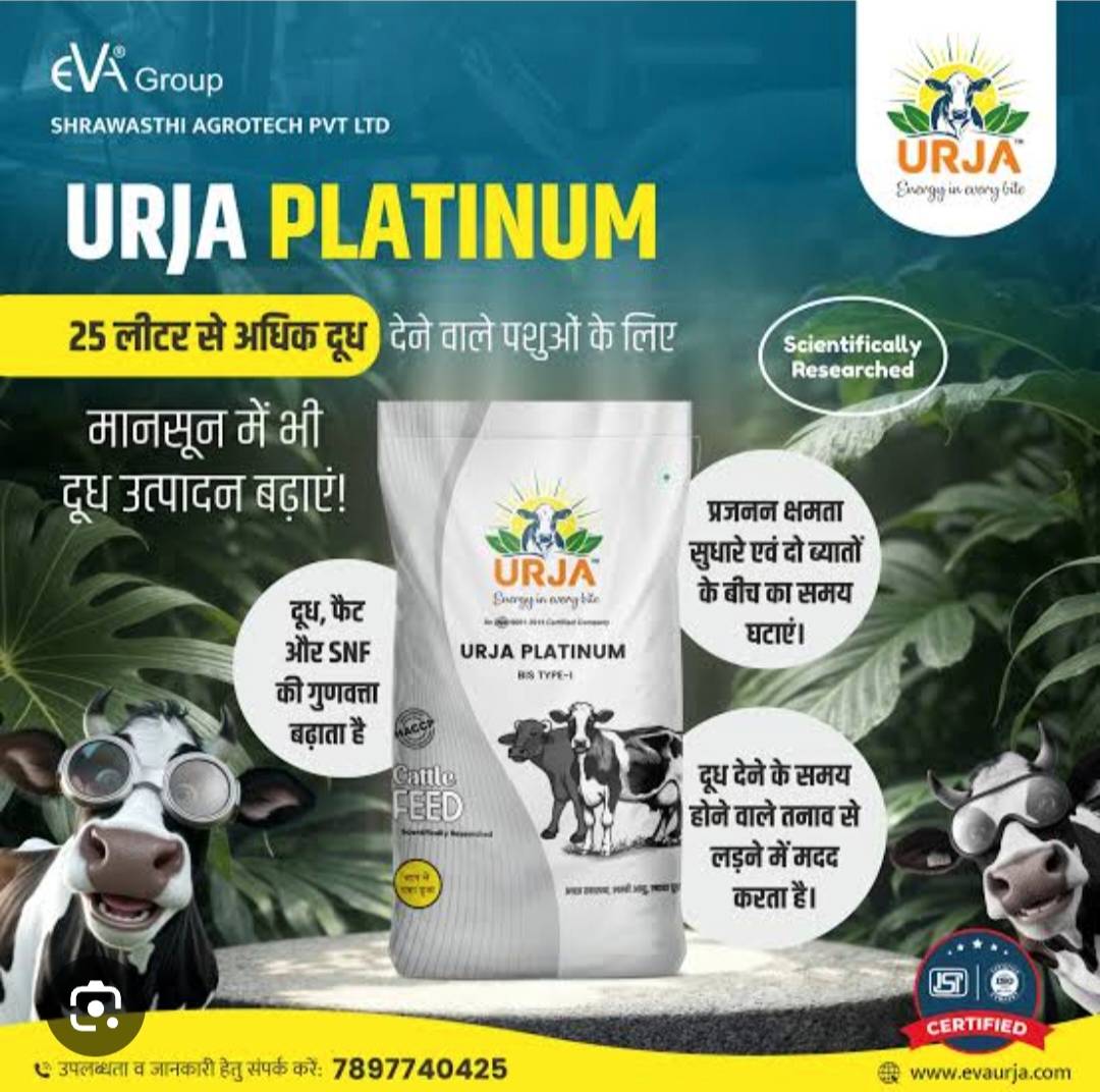 SHREE KRISHNA GROUP - Urja Platinum Animal Feed 50 Kg in Lakhimpur Kheri