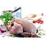 CHICKEN CENTER - Special Leg Chews in chandigarh