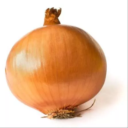 Fresh onions displayed at CHINTU BHAU BHAJI BHANDAR in Amravati