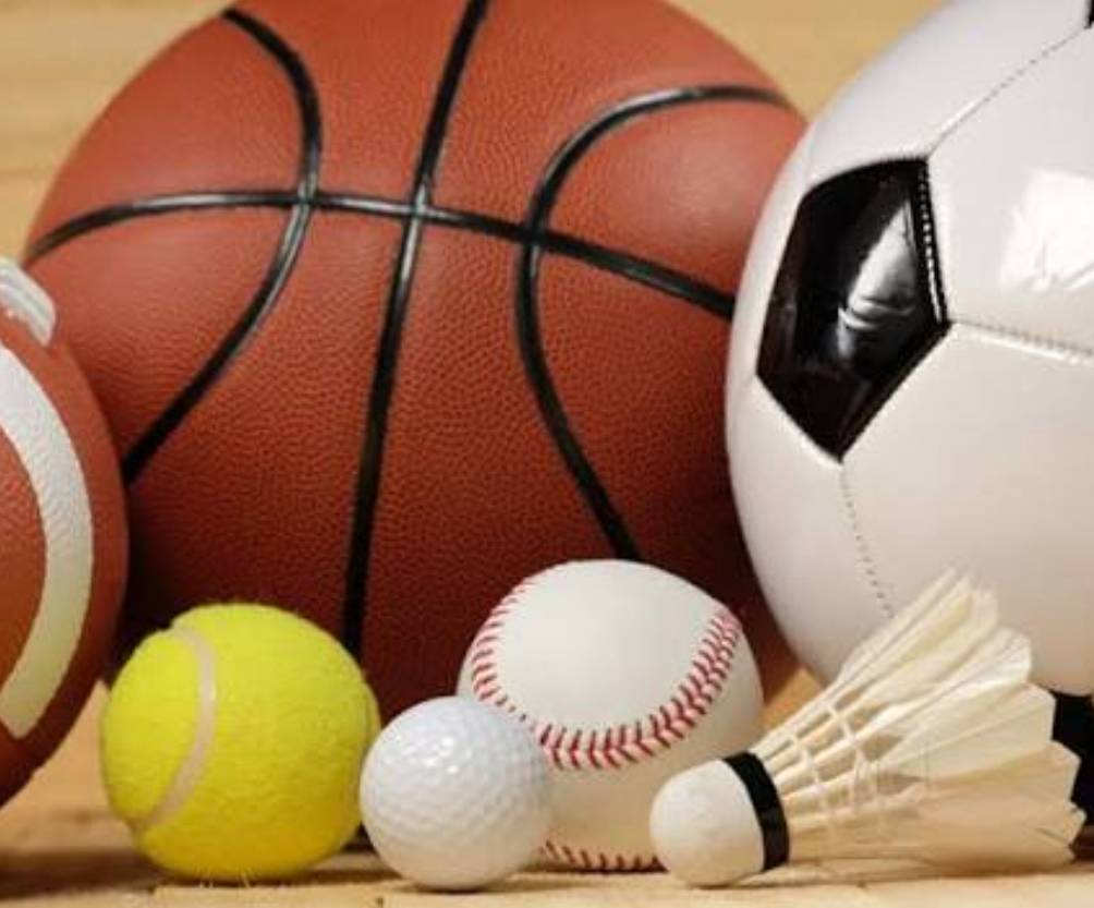 Colorful Ultimate Sports Ball Set displayed with various sports balls in Manimajra