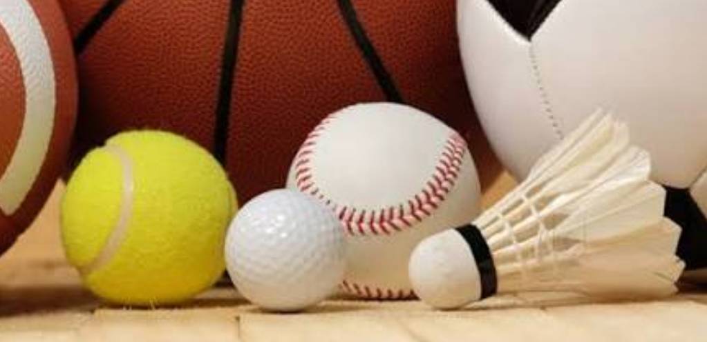 Colorful Ultimate Sports Ball Set displayed with various sports balls in Manimajra - Image 1