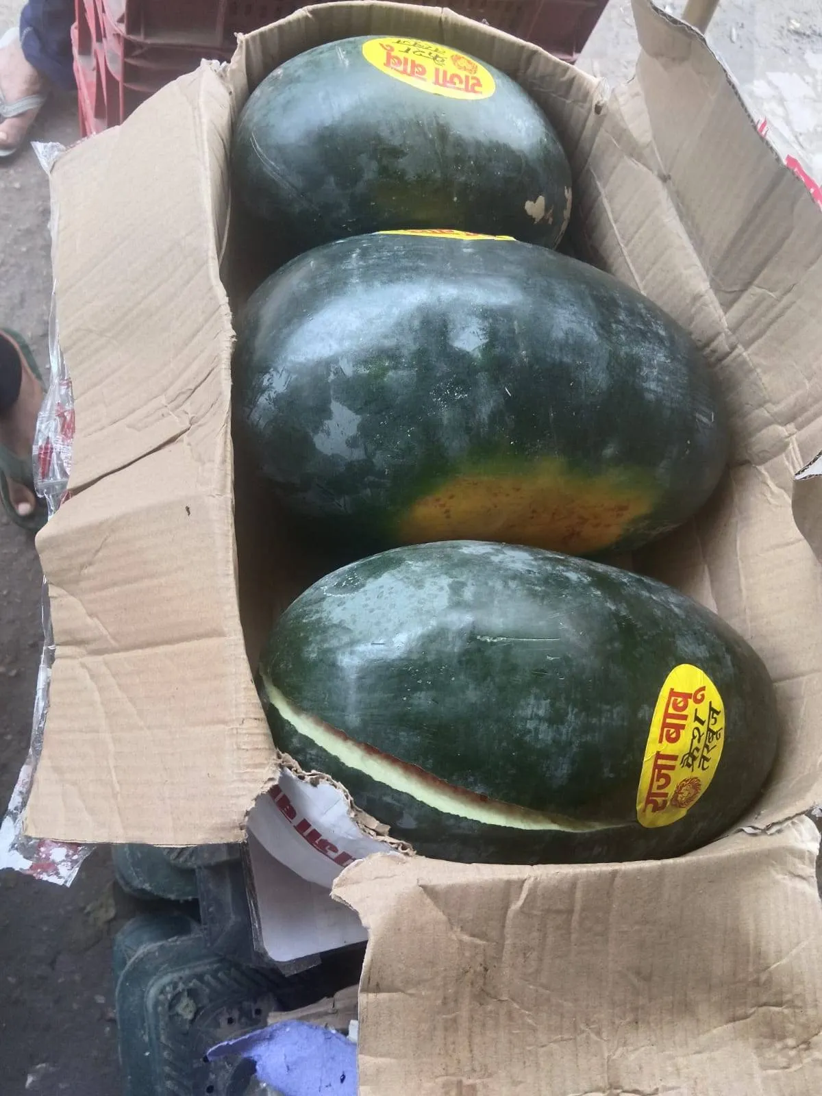 INTJAR MALIK - Fresh Fruits in ROORKEE