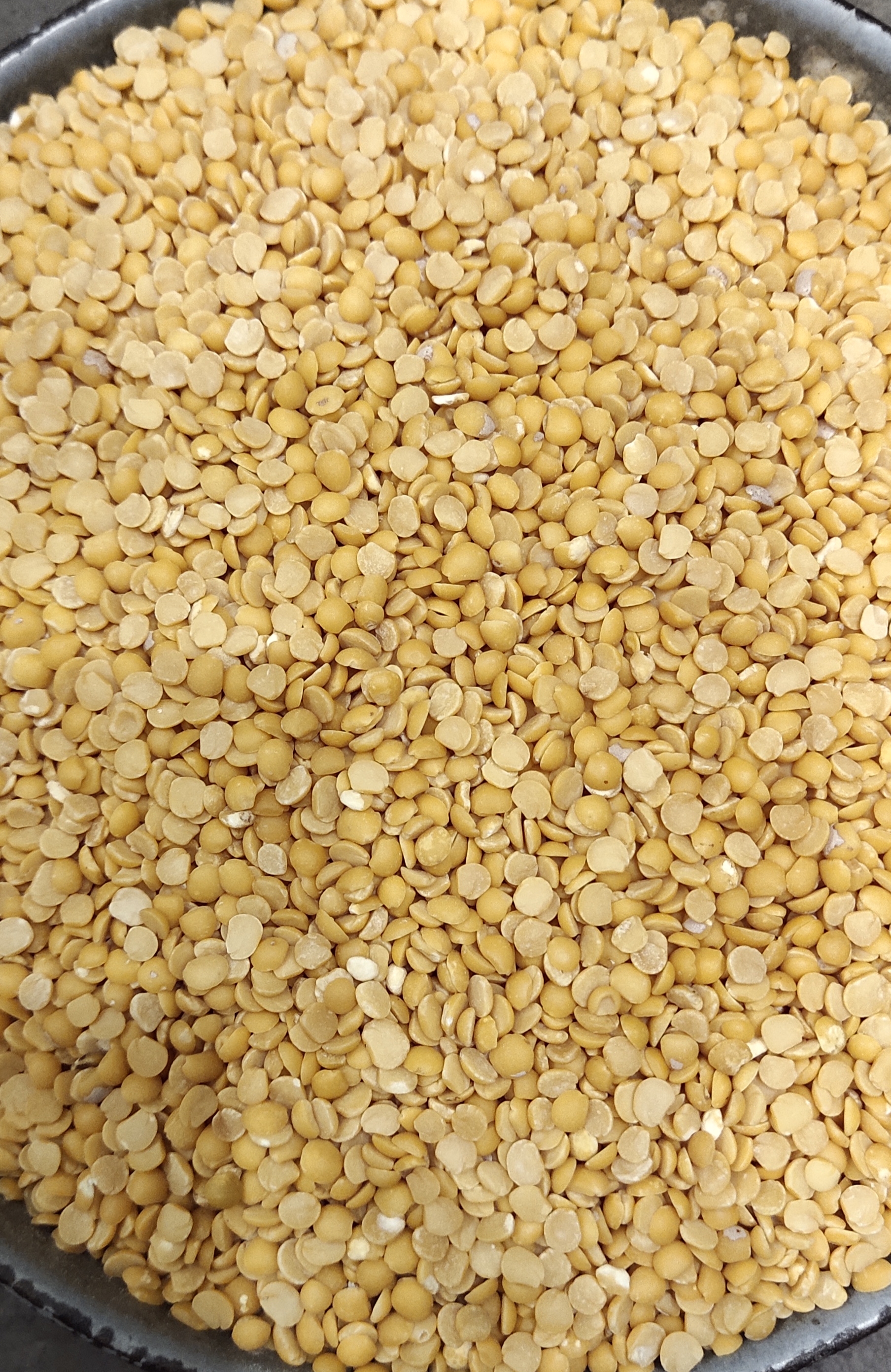 Premium Daal Rich Taste & Daily Nutrition JAI KISHAN YADAV Main Road Dewari Jondhribari Near Shiv Mandir Banki Mongra Korba Chhattisgarh