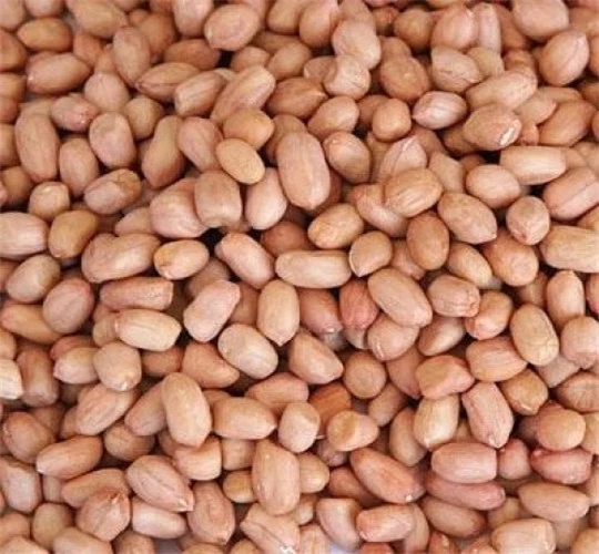  Premium Whole Peanut Fresh Crunchy Snack Nuts JAI KISHAN YADAV Main Road Dewari Jondhribari Near Shiv Mandir Banki Mongra Korba Chhattisgarh