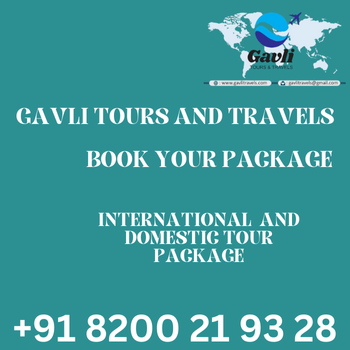 GAVALI TOUR AND TRAVELS - INTERNATIONAL AND DOMESTIC TOUR PACKAGE in Ahmedabad in Ahmedabad