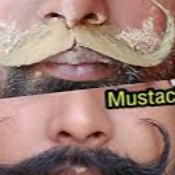 AANAN BHATIA - Mustaches Setting in Gagret — AANAN BHATIA in Gagret