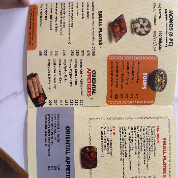Mughlai Sahi paneer in New Delhi — SHREEM FOODS