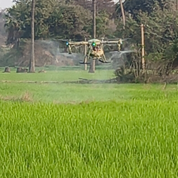 Drone spray for paddy in KURNOOL — NANO EAGLE VISION
