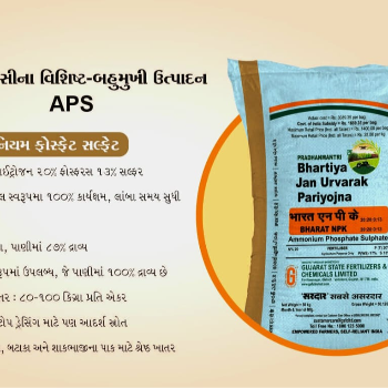 Insurance field in LIMBDI — SHREE RADDHI ENTERPRISE