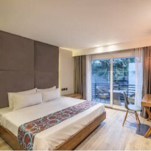 THE BEACH HOUSE CANDOLIM - Plazinn Superior Room in Candolim — THE BEACH HOUSE CANDOLIM in Candolim