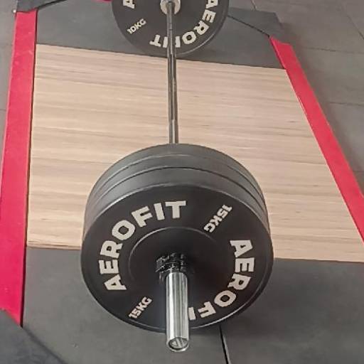 AEROFIT Rubber Bumper Plates in Kot Budha | Durable Gym