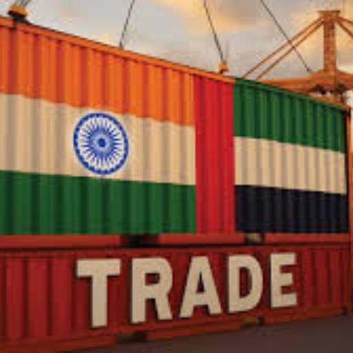 SHOWMAX GLOBAL - Trade Facilitation in Indore | Expand Internationally in in INDORE