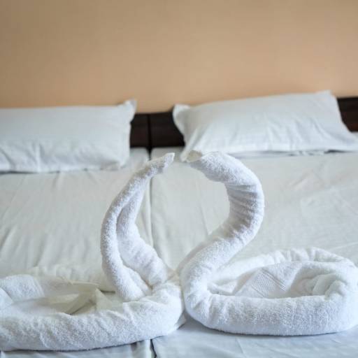 Non-AC Room in Suratgarh | Affordable Comfort in SURATGARH